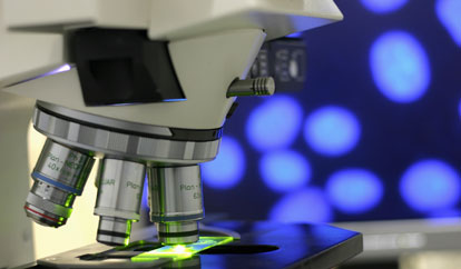 Medicolegal Consulting