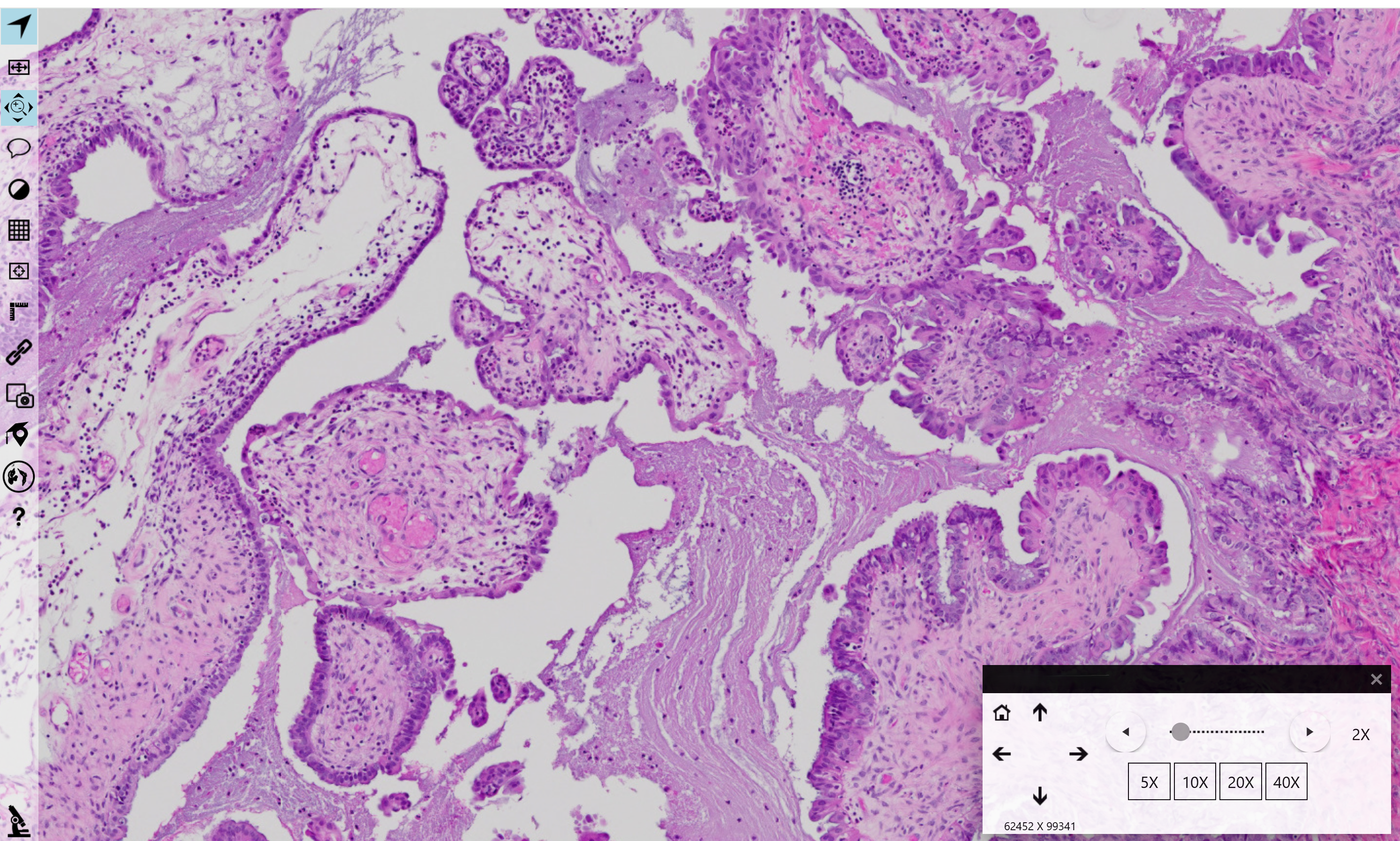 Clinical Informatics